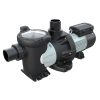 Swimming Pool Pump Hayward Commercial variable speed pump with 3" unions. 3.0 HP