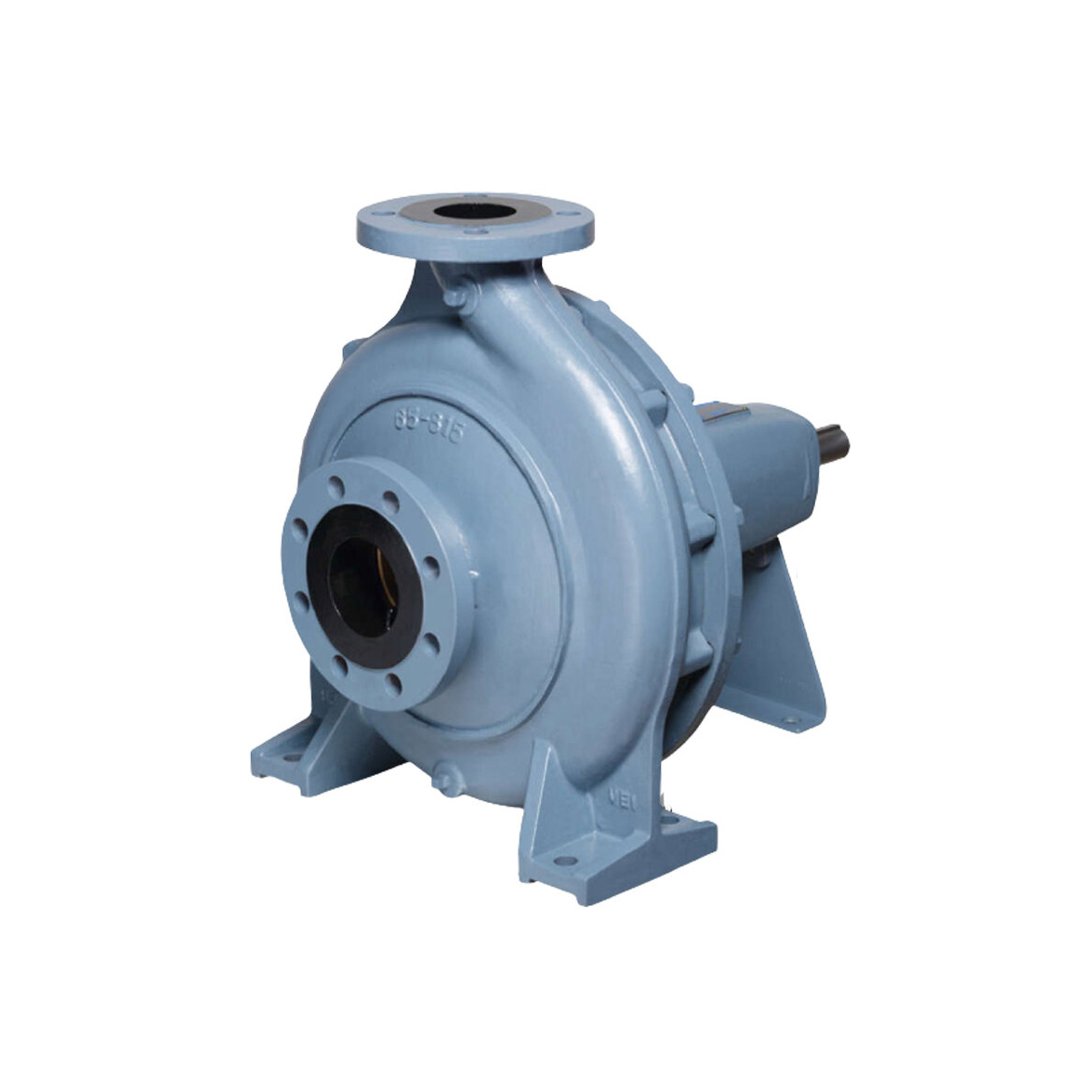 Ebara End Suction Volute Pump GS